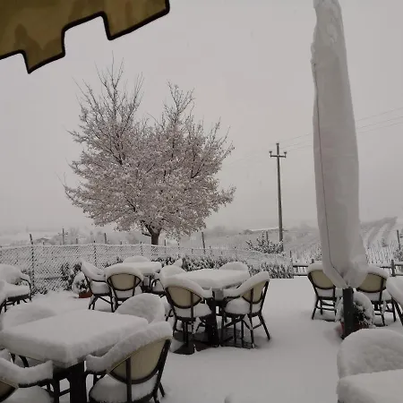 ファームステイ Moro Barel *